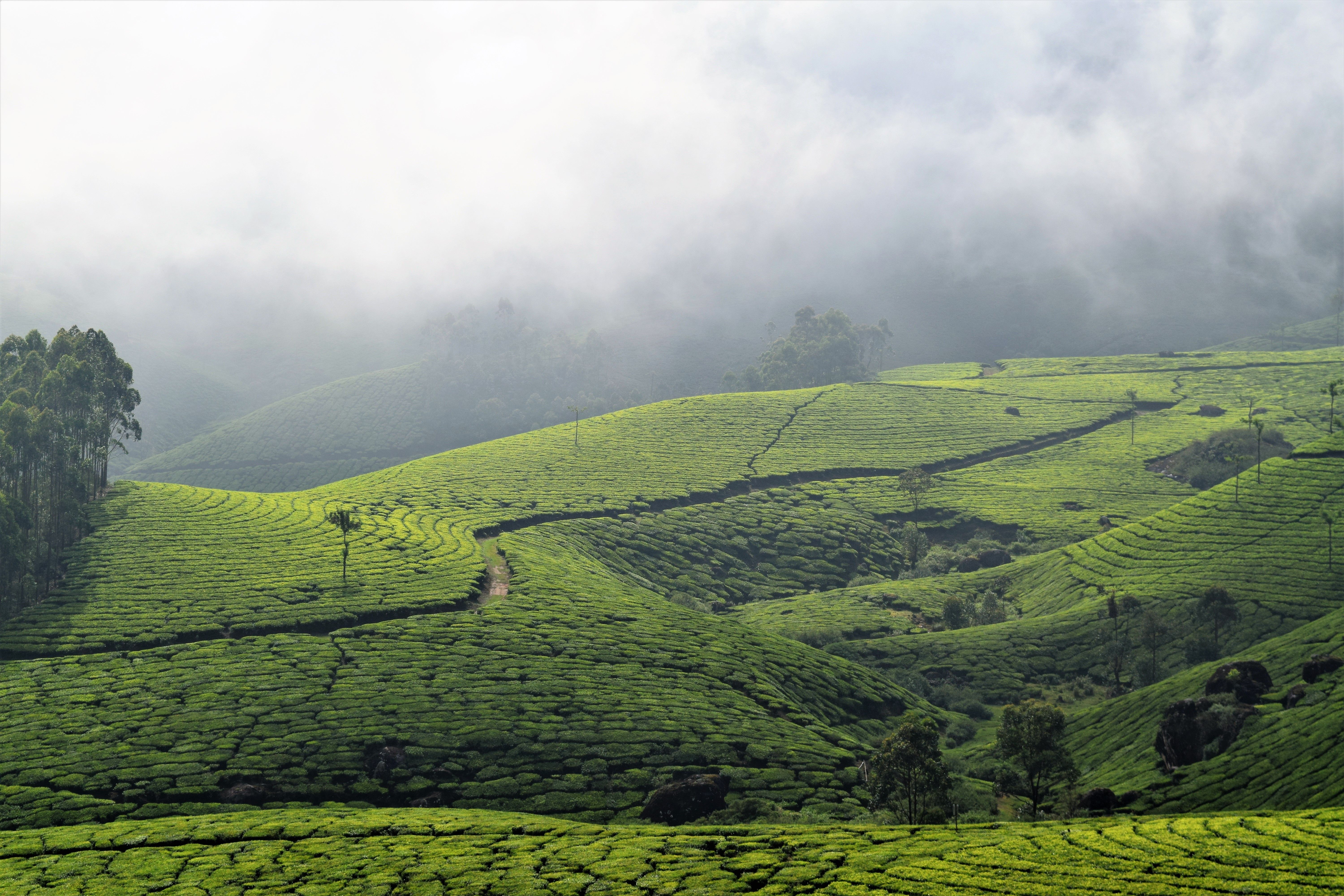 Kerala - God's own country