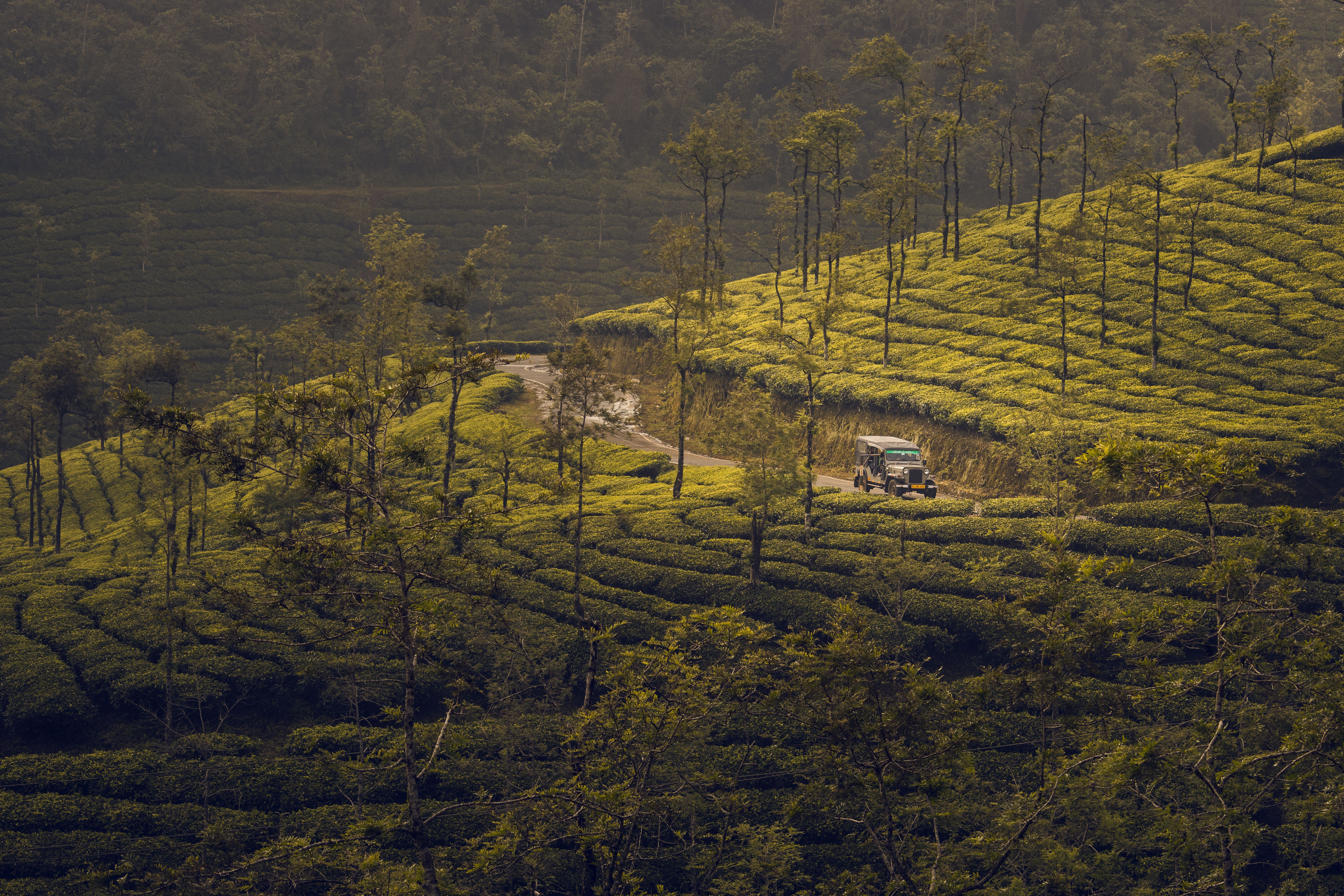 Kerala: A Journey To God's Own Country